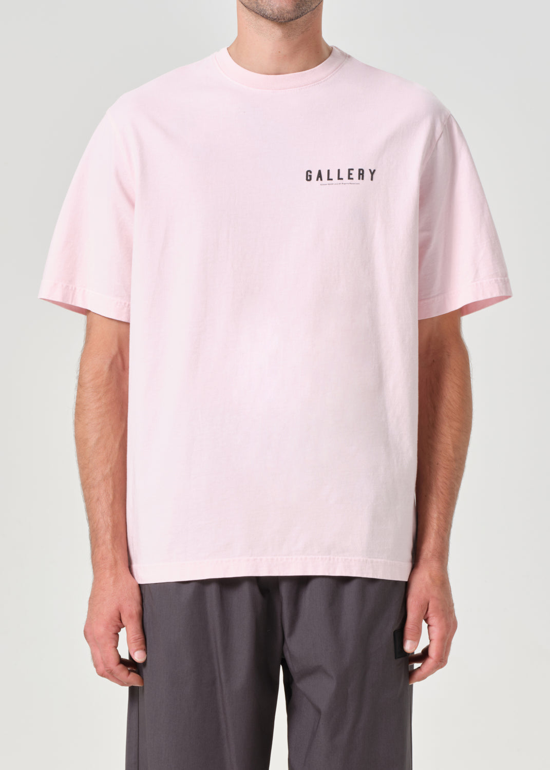 RSVP / AGOLDE Gallery S/S Tee in Pink / Black